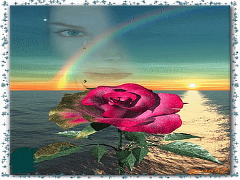 rainbow, rose, tear, ocean, sunset HD wallpaper