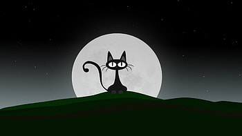Full Moon Kitty, Halloween, Cat, Moon, Art HD wallpaper
