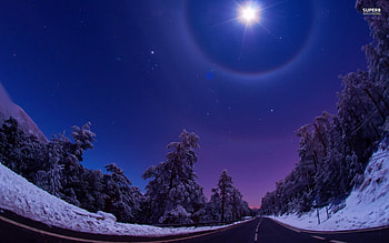 Night Star Road Trees Winter and stock HD wallpaper