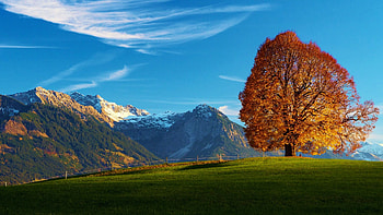 Autumn at the Bavarian Alps, landscape, trees, sky, mountains, clouds HD wallpaper