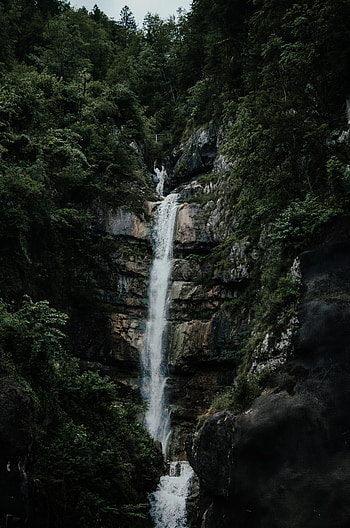 Nature, Rivers, Trees, Waterfall, Forest, Precipice, Break HD phone wallpaper
