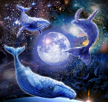 UNIVERSAL LOVE, whale, sky, mammels, love HD wallpaper