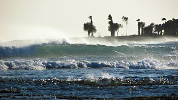 Nature, Sea, Waves, Palms, Storm HD wallpaper