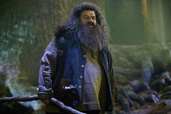 Rubeus Hagrid , Captivating artwork, Fan-favorite depiction, Beloved character HD wallpaper