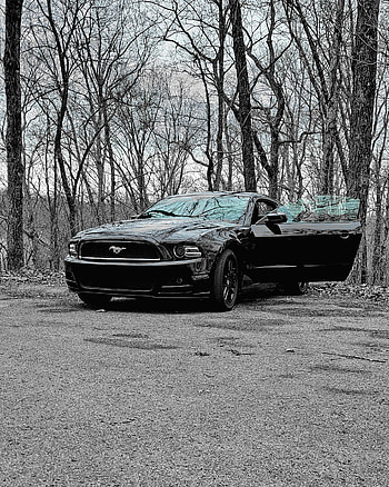 2014 ford mustang, red, usa, white, black HD phone wallpaper