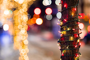 Holidays, Lights, Glare, Wood, Multicolored, Motley, Tree, Garland HD wallpaper