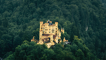 Castle, forest, old architecture HD wallpaper