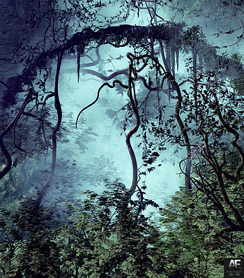 Trees, Art, Fog, Branches, Jungle HD phone wallpaper