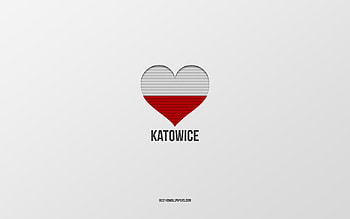 I Love Katowice, Polish cities, Day of Katowice, gray background, Katowice, Poland, Polish flag heart, favorite cities, Love Katowice HD wallpaper