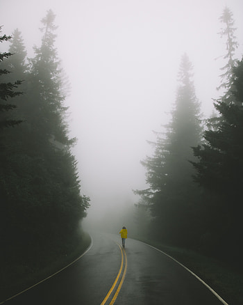 Nature, Road, Turn, Markup, Fog, Human, Person, Loneliness HD phone wallpaper