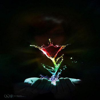 A Splash of Beauty, rose, beautiful, rainbow, splash HD wallpaper