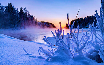 Winter Sunset, snow, river, frozen, trees, branches, ice HD wallpaper