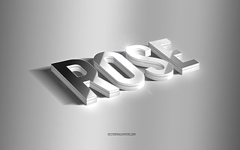 Rose, silver 3d art, gray background, with names, Rose name, Rose greeting card, 3d art, with Rose name HD wallpaper
