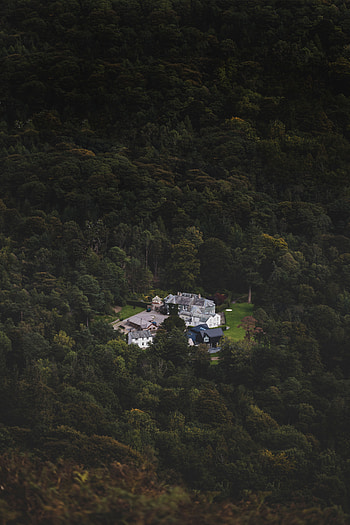 Nature, Lock, View From Above, Forest, Manor, Homestead HD phone wallpaper