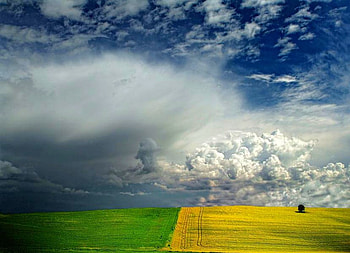 Green and Yellow, cool HD wallpaper