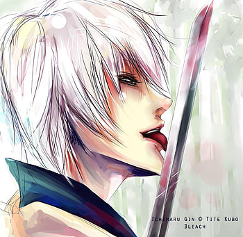 Gin, bleach, bankai, sword, anime, white hair, katana HD wallpaper