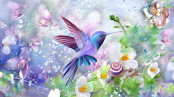 Delightful Hummingbird, blossoms, digital, bird, flowers, snail HD wallpaper