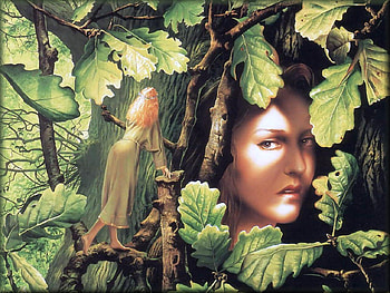 Harrison-Points Of Departure, other, leaves, fantasy, green HD wallpaper