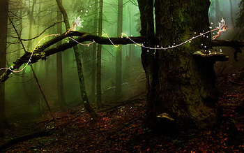 Fairy Trees, abstract, 3d, fantasy, green, trees, fairys, dark HD wallpaper