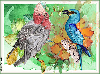 BIRD COLLAGE, ART, COLLAGE, ABSTRACT, BIRD HD wallpaper