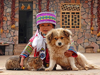 Three Friends, dog, , cool, kid, cat HD wallpaper