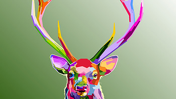 Reindeer muzzle horns, colorful art HD wallpaper