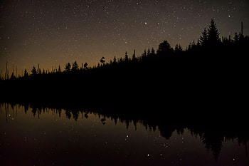 Water, Trees, Night, Reflection, Dark, Starry Sky HD wallpaper