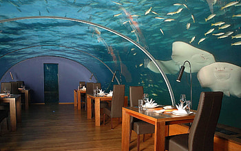 Miscellanea, Miscellaneous, Tropics, Maldives, Underwater Restaurant HD wallpaper