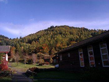 Sunny hill, trees, sunny, hill, cabin HD wallpaper
