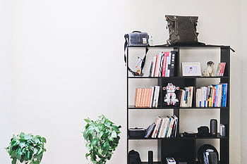 Stylish interior featuring a modern bookshelf with books, decor, and potted plants against a neutral background. HD wallpaper