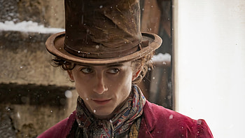 Wonka-Inspired Timothée Chalamet, Timothée Chalamet, movie, Wonka HD wallpaper