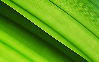 Untitled , other, , untitled, nature HD wallpaper