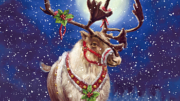 Animals, Holidays, Snow, Christmas, Xmas, Deers HD wallpaper