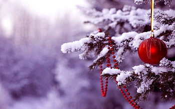 Christmas Ornaments, Frost, Decoration, Winter, Christmas HD wallpaper