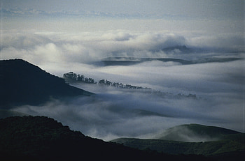 Nature, Trees, Mountains, Clouds, Fog, Darkness, Haze HD wallpaper