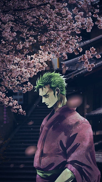 Ronorona Zorro, people_in_nature, art, anime HD phone wallpaper