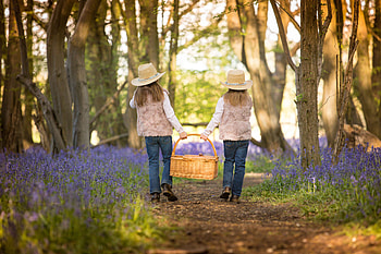 Little girl, cowgirl, childhood, blonde, fair, nice, adorable, bonny, sweet, white, Belle, Hair, girl, tree, outdoor, summer, comely, sightly, pretty, face, nature, lovely, pure, child, graphy, , cute, baby, Nexus, walk, beauty, basket, kid, hat, beautiful, people, little, pink, street, princess, dainty HD wallpaper