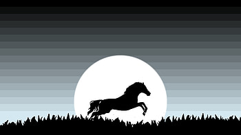 Horse Minimal , horse, minimalism, minimalist, artist, artwork, digital-art HD wallpaper