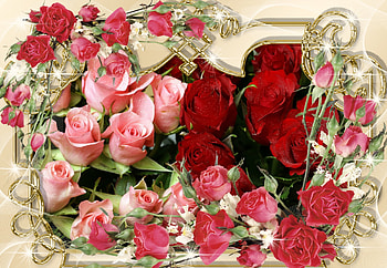 Roses & Happiness, nostalgic, roses, pink, abstract, love, red, nature, flowers, happiness, romantic HD wallpaper