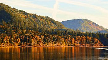 Fall colors reflecting off of Yale Lake, Washington, fall, colors, landscape, trees, forest, water, reflections, hills, usa, autumn HD wallpaper