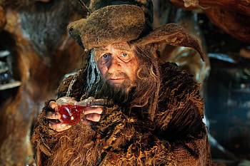 The Hobbit: Desolation of Smaug , Radagast the Brown, Mysterious and wise, Magical world HD wallpaper