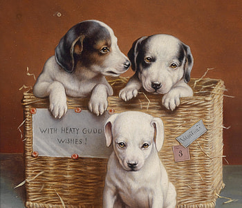 :), dog, animal, cute, basket, puppy, carl reichert, card, trio, caine HD wallpaper