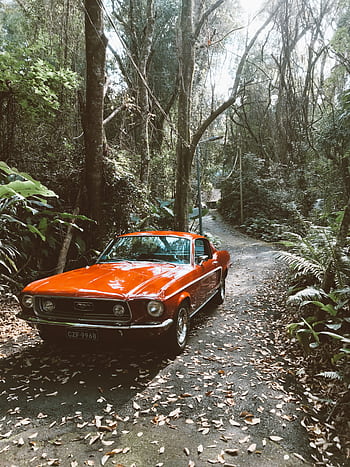 Vintage red car parked on a forest road surrounded by lush greenery. HD phone wallpaper