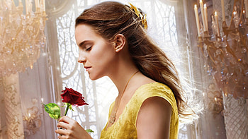 Emma Watson, Rose in profile, Imac 27 inch, Captivating beauty HD wallpaper
