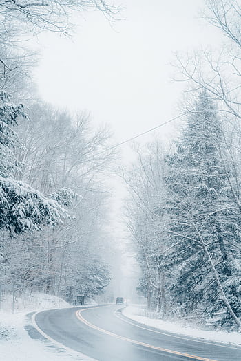 A quiet winter road cutting through a snow-covered forest, evoking a peaceful and tranquil atmosphere. HD phone wallpaper
