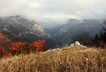 Old Mountain, colorful, graphy, fall, mountain, beutiful, leaves, fog, red, bulgaria, trees, autumn, nature HD wallpaper