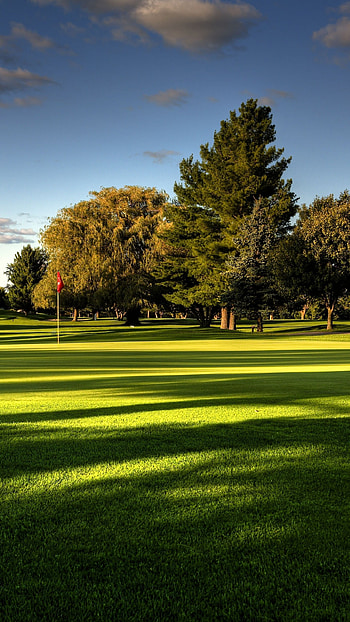 lawn, field, golf, trees HD phone wallpaper