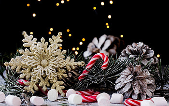 Candy cane , backgrounds, Festive , Holiday joy HD wallpaper