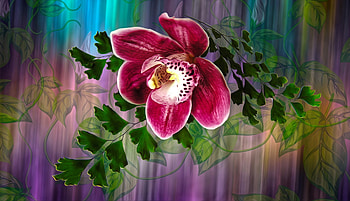 Floral art, art, pretty, floral, beautiful, flowers, lovely HD wallpaper