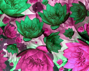 Pink and green flowers, flowers, 3d HD wallpaper